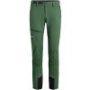 Pánské sportovní kalhoty Salewa pánské kalhoty Agner Orval 2 DST Raw Green