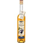 R.Jelínek Vizovická Slivovice 50% 0,7 l (holá láhev) – Zboží Dáma