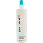 Paul Mitchell Moisture Awapuhi Moisture Mist 500 ml – Zbozi.Blesk.cz