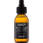 Dandy After Shave voda po holení 100 ml – Zbozi.Blesk.cz