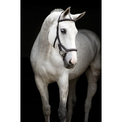 Rambo Uzdečka Competition Deluxe Micklem dark havana – Zboží Mobilmania