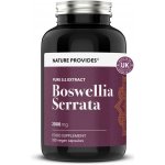 Nature Provides Boswellia serrata 65% standardizovaná kyselina boswellová 180 kapslí – Hledejceny.cz