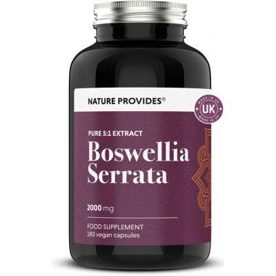 Nature Provides Boswellia serrata 65% standardizovaná kyselina boswellová 180 kapslí – Hledejceny.cz
