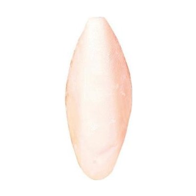 SÉPIOVÁ kost VELKÁ-cca 20 cm "XL" 1 kg – Hledejceny.cz