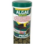 Prodac Algae Wafers 250 ml, 125 g – Hledejceny.cz