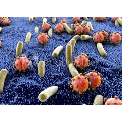 WEBLUX 89000179 Samolepka fólie Bacteria and viruses on surface of skin Bakterie a viry na povrchu kůže sliznice nebo střeva model MERS HIV chřipka Escherichia col rozměry 200 x 144 cm