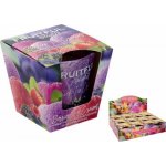 Bartek Candles FRUITFUL Berries Ice Cream 115 g – Zboží Mobilmania