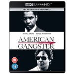 Americký gangster - 4K UHD BD – Hledejceny.cz