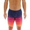 Koupací šortky, boardshorts Tyr Durafast Elite Jammer Navy/Multi