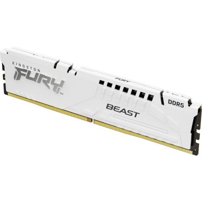 Kingston FURY Beast DDR5 16GB 5600MHz CL40 (1x16GB) KF556C40BW-16 – Zboží Mobilmania