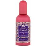 Tesori d'Oriente Persian Dream parfémovaná voda dámská 100 ml – Hledejceny.cz