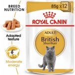Royal Canin British Shorthair Adult pro britské krátkosrsté kočky 48 x 85 g – Zboží Mobilmania