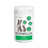 Vitamíny pro psa Dromy Boswellia 120 tbl