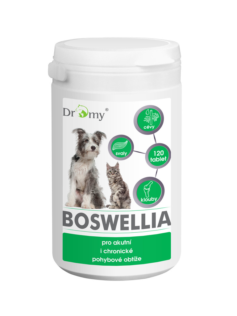 Dromy Boswellia 120 tbl