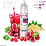Adams vape Grape Mint Lemonade Shake & Vape 10 ml – Zboží Mobilmania