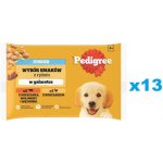 Pedigree Junior s rýží mokré krmivo pro štěňata v želé s kuřecím a hovězím masem 52 x 100 g – Sleviste.cz