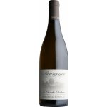 Montille Chateau de Puligny Montrachet Bourgogne Clos du Chateau 2022 Bílé 12,5% 0,75 l (holá láhev) – Hledejceny.cz