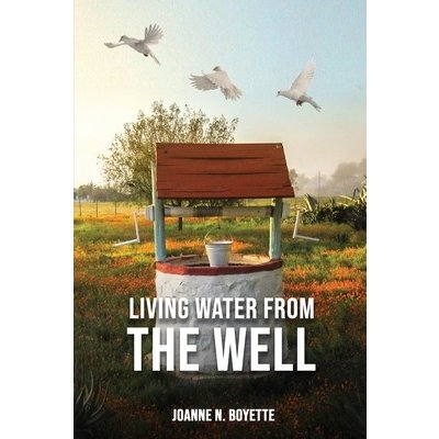 Living Water from the Well Boyette Joanne N.Paperback – Hledejceny.cz