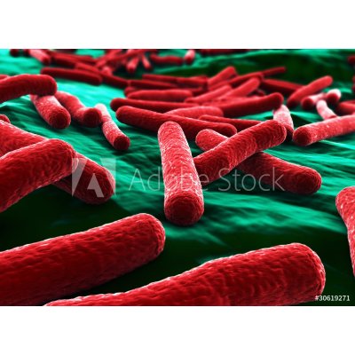 WEBLUX 30619271 Fototapeta plátno E coli Bacteria close up, rozměry 160 x  116 cm — Heureka.cz