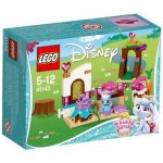 LEGO® Disney 41143 Borůvka a její kuchyně – Hledejceny.cz