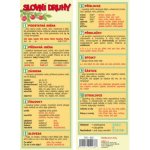 Záložka - SLOVNÍ DRUHY – Sleviste.cz