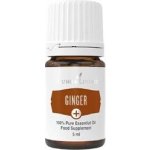 Young Living Ginger+ (Zázvor+) esenciální olej 5 ml – Hledejceny.cz