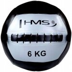 HMS Wall ball 6 kg – Zboží Dáma