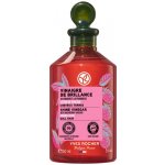 Yves Rocher Malinový ocet pro lesklé vlasy 150 ml – Hledejceny.cz