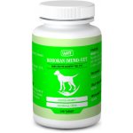 Univit Roboran Imunu-Vet 100 tbl – Hledejceny.cz