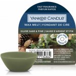 Yankee Candle vonný vosk Silver Sage & Pine Stříbrná šalvěj a borovice 22 g – Zbozi.Blesk.cz