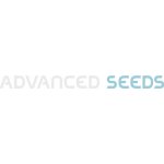 Advanced Seeds AUTO Slurricane semena neobsahují THC 1 ks – Zboží Dáma