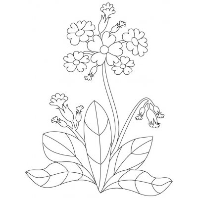 Pískohraní s.r.o. Šablona Petrklíč 148 x 210 mm – Sleviste.cz