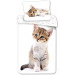 Jerry Fabrics Povlečení fototisk Kitten white 140x200 70x90 – Zboží Mobilmania