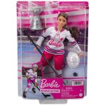 Barbie Zimní sporty Hokejistka – Sleviste.cz