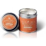 The Greatest Candle in the World Darjeeling Flower 200 g – Zbozi.Blesk.cz