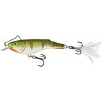 Salmo Rail Shad Sinking 6 cm 14 g Ice Perch – Hledejceny.cz