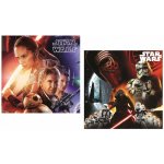 COTTONLAND Oboustranný polštář Star Wars Hvězdné války The Force Awakens 40x40 – Sleviste.cz