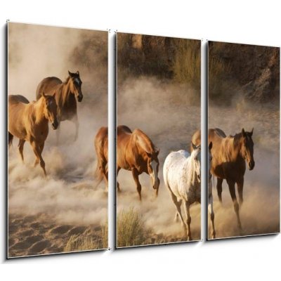 Obraz 3D třídílný - 105 x 70 cm - wild horses running divoké koně běží – Zboží Mobilmania