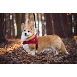 Vsepropejska Kelly pet postroj pro psa – Zboží Mobilmania