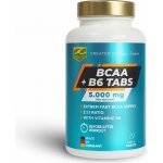 Z-Konzept BCAA + B6 120 tablet – Zboží Dáma
