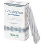 Protexin Cobalaplex pro psy a kočky 60cps – Sleviste.cz