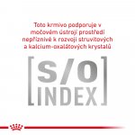 Royal Canin Veterinary Diet Cat Gastrointestinal 0,4 kg – Zboží Dáma