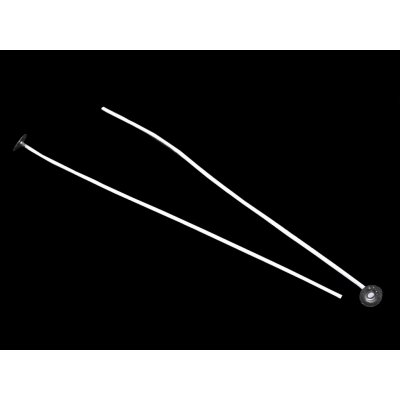 Prima-obchod Knot na svíčky s plíškem 20 cm, barva bílá – Sleviste.cz