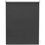 Lichtblick Termo zatemňovací roleta 45 x 150 cm, antracitová – Sleviste.cz