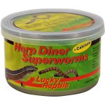 Lucky Reptile Herp Diner Superworms 35 g – Zboží Dáma