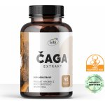 Sibi Čaga extrakt 500 mg 90 kapslí – Hledejceny.cz