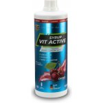 Z Konzept Vit Active Syrup Low Carb 1000 ml – Hledejceny.cz