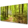 Obraz akrylový obraz Les Příroda 100x50 cm