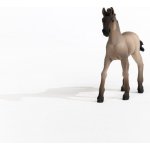Schleich 13949 Hříbě Criollo Definitivo – Sleviste.cz