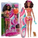 Panenky Barbie Barbie SURFAŘKA S DOPLŇKY
